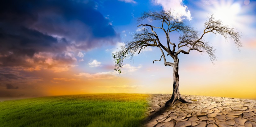 Climate Change -the long-range gardener's forecast - Jim Paine